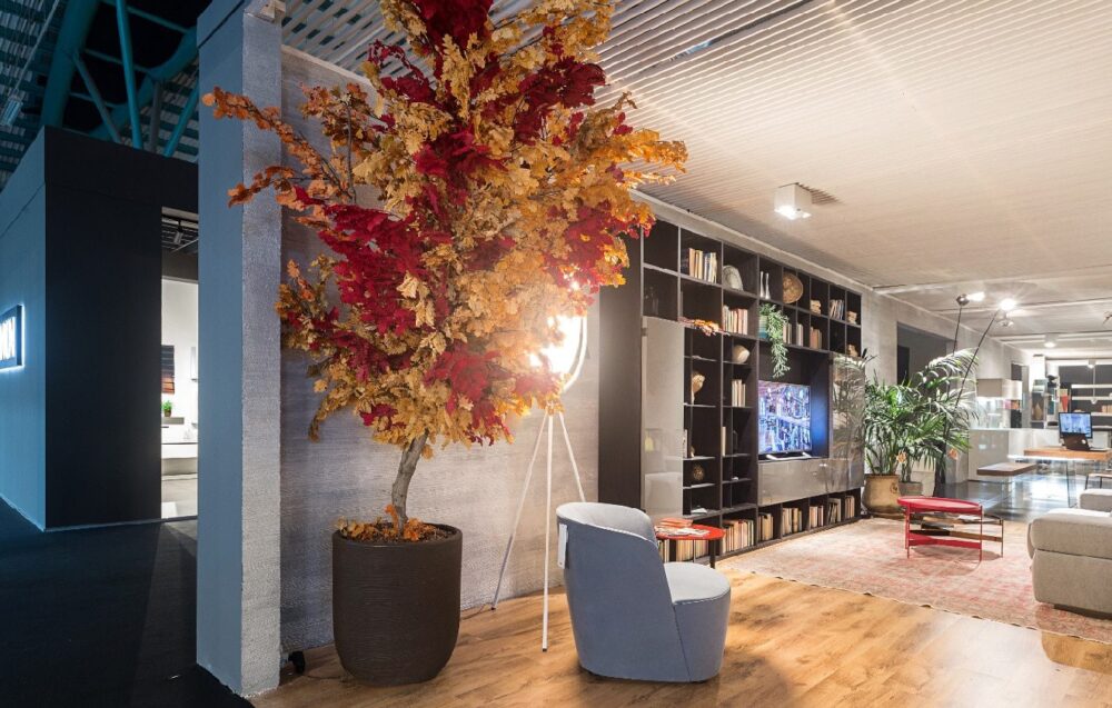 Hogyan stabilizáljuk a növényeket Blog