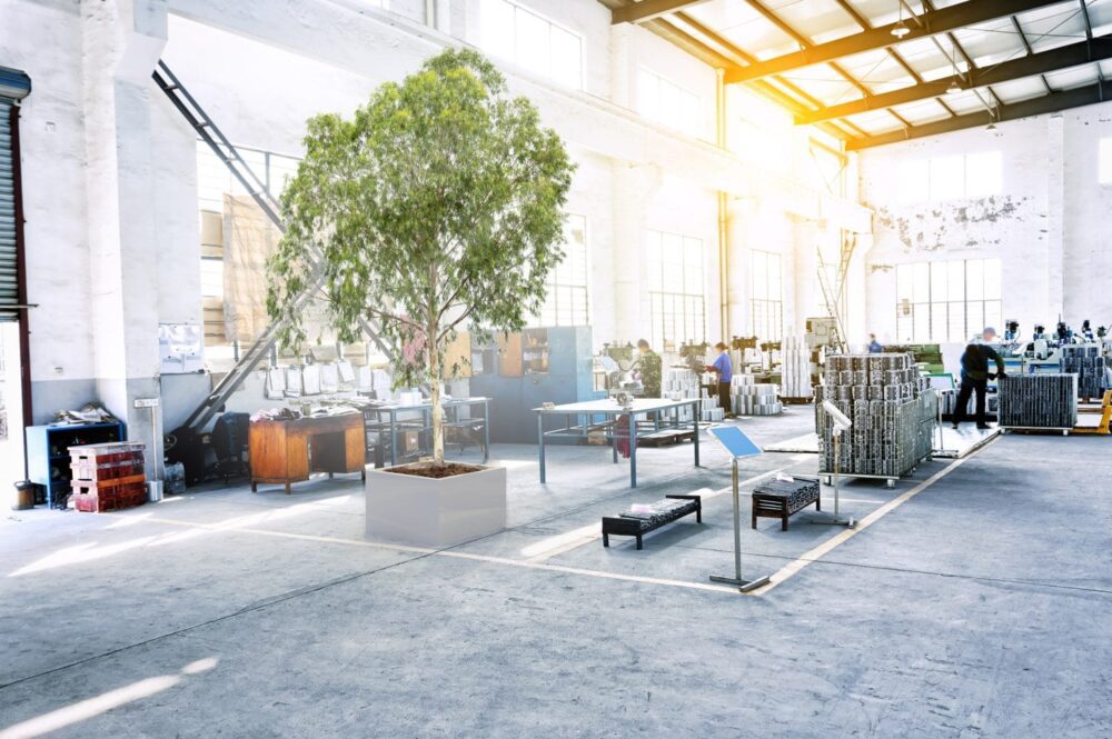 Hogyan stabilizáljuk a növényeket