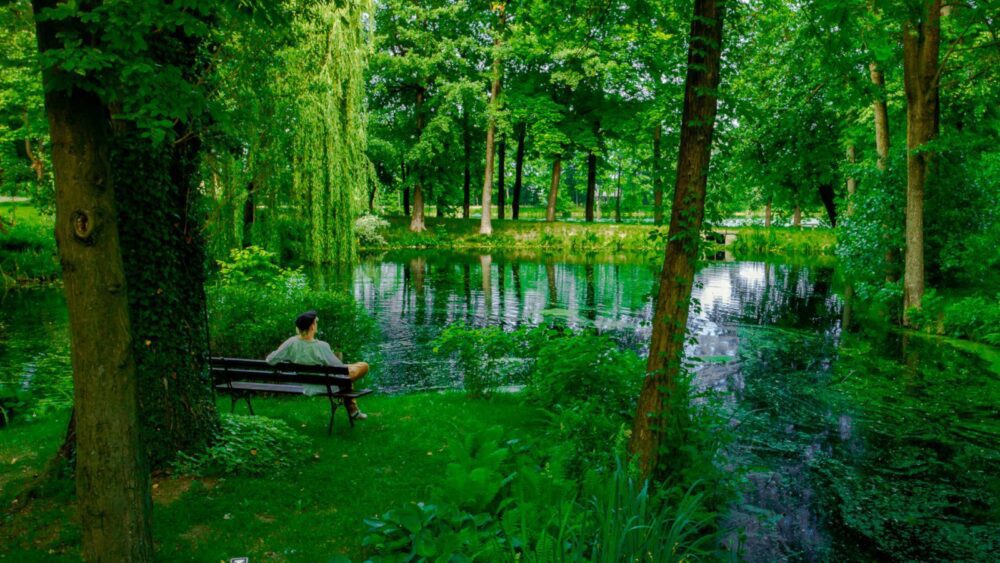 Manor House Park Hotel