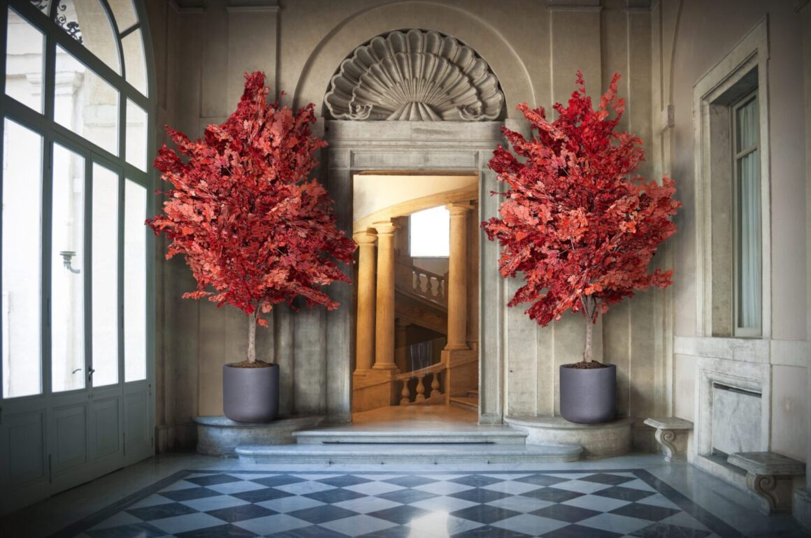 Mi a növények stabilizálása