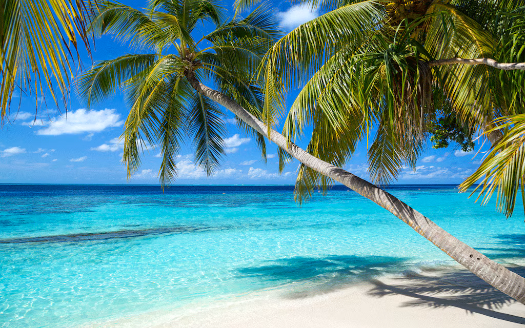 Nyaralás a Karib-tengeren