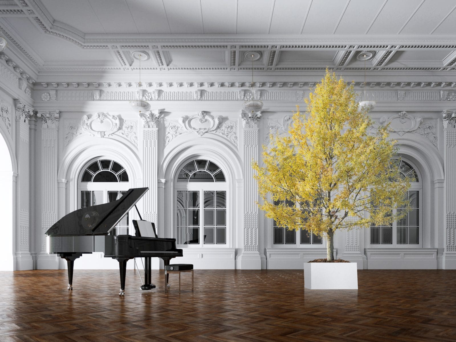 Stabilizált növények