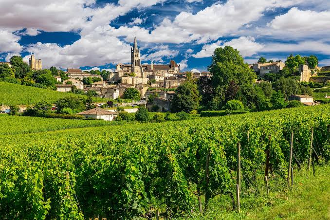 Bordeaux Régió Borászati