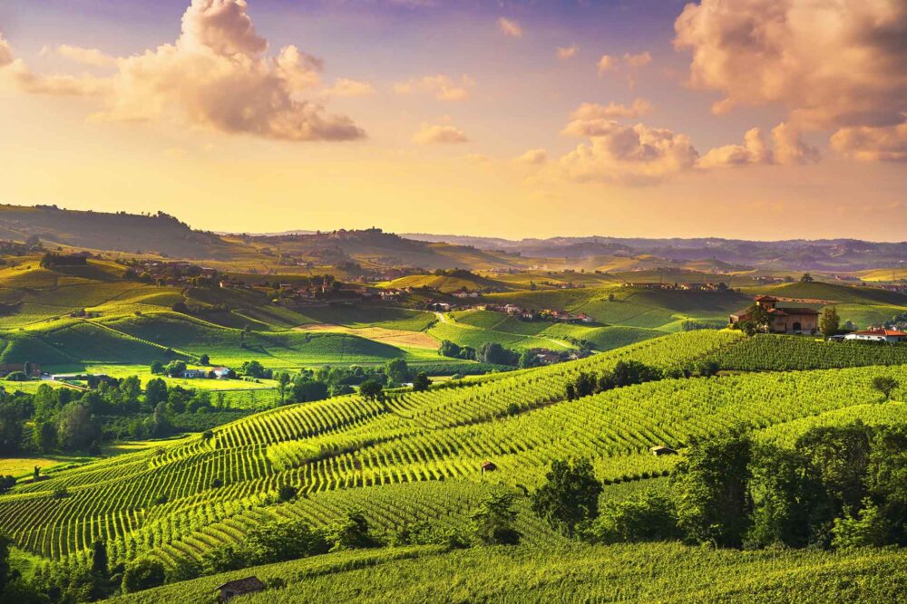 Langhe szőlőültetvények naplementekor panoráma, Barolo, Piemont, Olaszország, Európa
